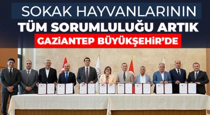 Sokak hayvanlarının tüm sorumluluğu artık Gaziantep Büyükşehir’de