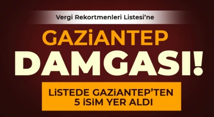 Türkiye'nin vergi rekortmenleri açıklandı!