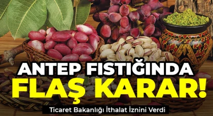 Antep fıstığına ithalat izni çıktı