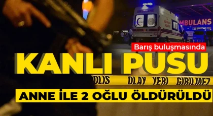 Barışmaya giden aileye saldırı: Anne ve 2 oğlu öldürüldü