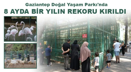 Gaziantep Doğal Yaşam Parkı'nda 8 ayda bir yılın rekoru kırıldı