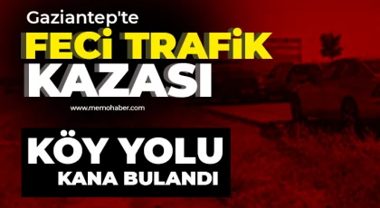 Gaziantep'te feci trafik kazası! Köy yolu kana bulandı 