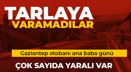 Gaziantep'te kaza! Tarlaya varamadılar