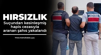  Hırsızlık suçundan kesinleşmiş hapis cezasıyla aranan şahıs yakalandı
