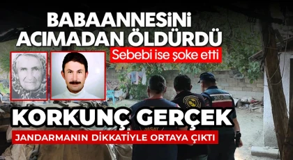 İçkisine karışan babaannesini başına tüple vurarak öldürdü