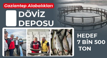 Gaziantep Alabalıkları döviz deposu