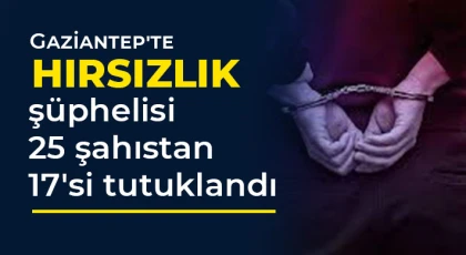Gaziantep'te hırsızlık şüphelisi 25 şahıstan 17'si tutuklandı