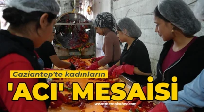 Lezzeti ve kalitesiyle Türkiye'nin dört bir yanına gönderiliyor