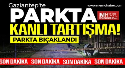 Gaziantep'te sokak kavgası! Parkta bıçaklandı