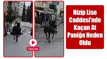 Nizip Lise Caddesi’nde Kaçan At Paniğe Neden Oldu
