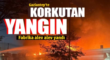Gaziantep'te korkutan yangın! Fabrika alev alev yandı 