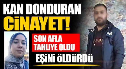 Korkunç cinayet: Eşini öldürüp toprağa gömdü