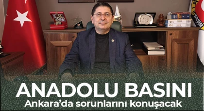 Anadolu Basını, Ankara’da sorunlarını konuşacak