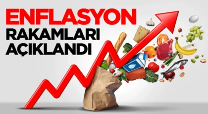Aralık ayında yıllık enflasyon yüzde 30,89 oldu