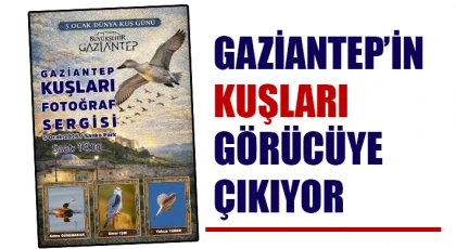 Gaziantep’in Kuşları Görücüye Çıkıyor