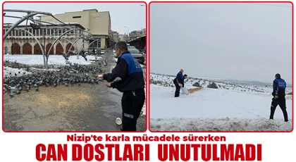 Nizip'te karla mücadele sürerken can dostları  unutulmadı