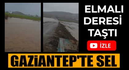 Gaziantep'te sel: Elmalı deresi taştı 