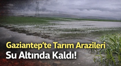 Gaziantep'te tarım arazileri su altında kaldı