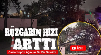Gaziantep'te yağış ve rüzgar ağaçları devirdi