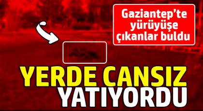 Gaziantep'te yürüyüşe çıkanlar buldu: Yerde cansız yatıyordu 