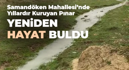 Samandöken Mahallesi’nde Yıllardır Kuruyan Pınar Yeniden Hayat Buldu