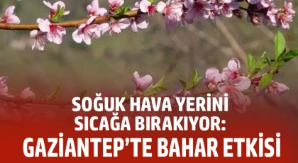 Gaziantep’te Soğuklar Gidiyor: Güneş Yüzünü Gösteriyor