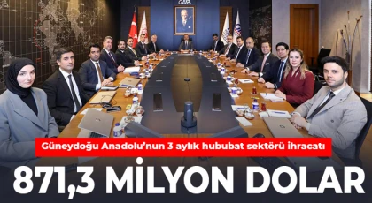 Güneydoğu Anadolu’nun 3 aylık hububat sektörü ihracatı 871,3 milyon dolar