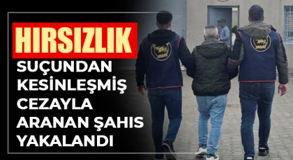  Hırsızlık suçundan kesinleşmiş cezayla aranan şahıs yakalandı