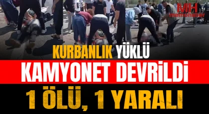 Gaziantep karayolunda kurbanlık yüklü kamyonet devrildi: 1 ölü, 1 yaralı