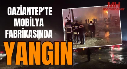 Gaziantep'te mobilya fabrikasında yangın