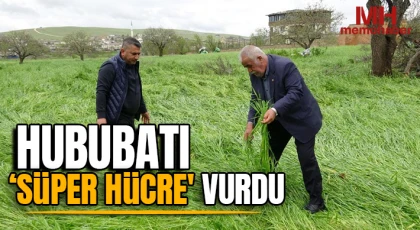 Hububatı ‘süper hücre' vurdu
