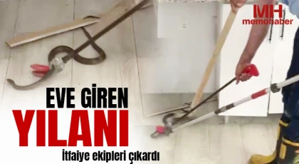 Eve giren yılanı itfaiye ekipleri çıkardı