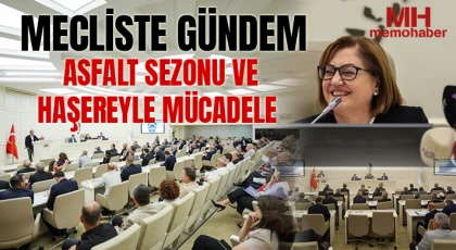 Mecliste gündem asfalt sezonu ve haşereyle mücadele