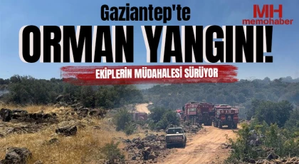 Gaziantep'te orman yangını: Ekiplerin müdahalesi sürüyor