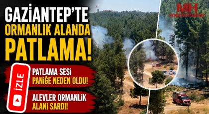 Gaziantep'te Ormanlık Alanda Patlama!