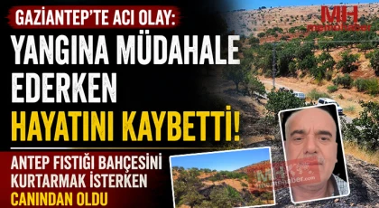 Gaziantep'te Yürek Yakan Yangın: Tarla Sahibi Hayatını Kaybetti