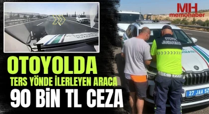 Otoyolda ters yönde ilerleyen araca 90 bin TL ceza