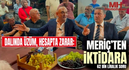 Dalında Üzüm, Hesapta Zarar: Meriç’ten İktidara 62 Bin Liralık Soru