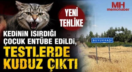 Kedinin ısırdığı çocuk entübe edildi, testlerde kuduz çıktı