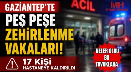 Neler oldu bu tavuklara! 17 kişi zehirlendi!