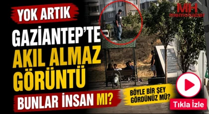Yok artık! Gaziantep'te akıl almaz görüntü