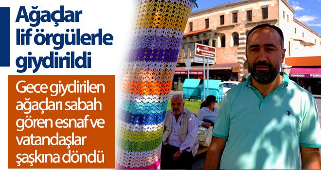 Ağaçlar lif örgülerle giydirildi