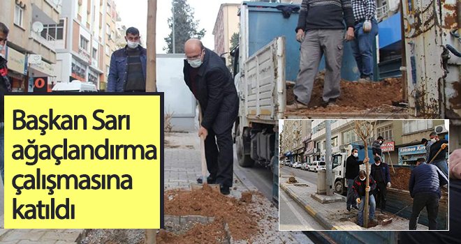 Başkan Sarı ağaçlandırma çalışmasına katıldı