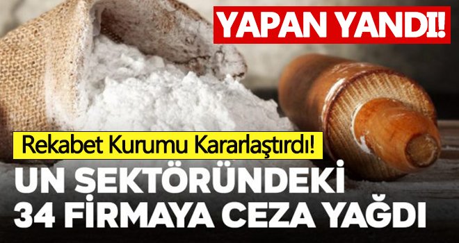 Buğday unu sektöründeki 34 firmaya FLAŞ ceza!