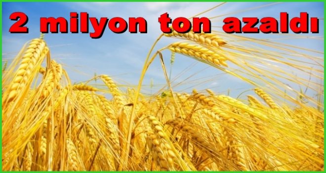 Buğday üretimi 2016 yılında 2 milyon ton birden azaldı