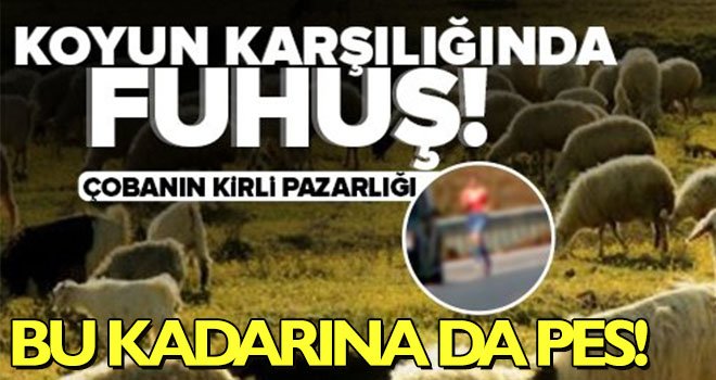 Çoban'dan 'fuhuş' karşılığı sürüden 3 koyun!