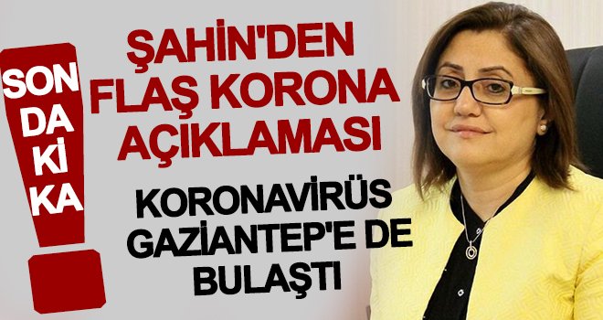 Şahin'den flaş korona açıklaması! Yüzde 80'i yurt dışı bağlantılı