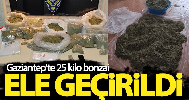 Gaziantep'te 25 kilo bonzai ele geçirildi...