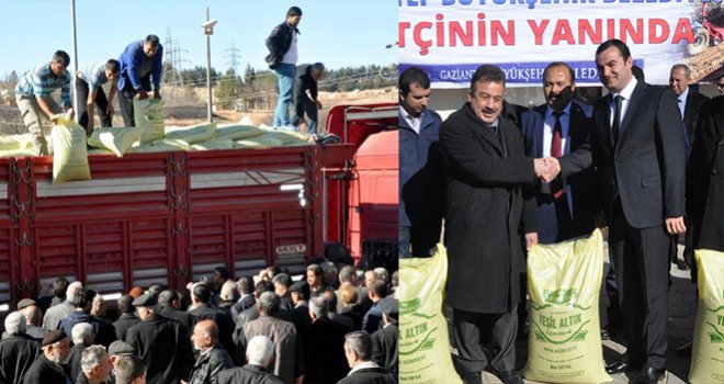 Gaziantep'te Çiftçilere Antep Fıstığı Gübresi Dağıtıldı