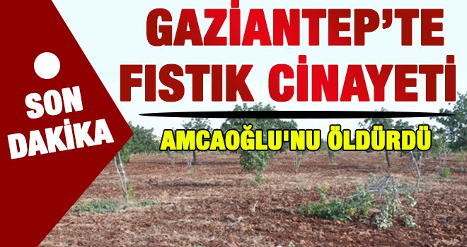 Gaziantep'te fıstık cinayeti! Dom dom kurşunuyla öldürdü...